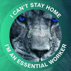 Meet your Posher, Charles